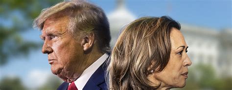 betta på trump|USA Val Odds 2024 .